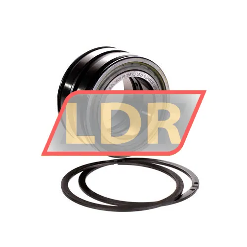 INA SL045009-PP-2NR-C3-GA22