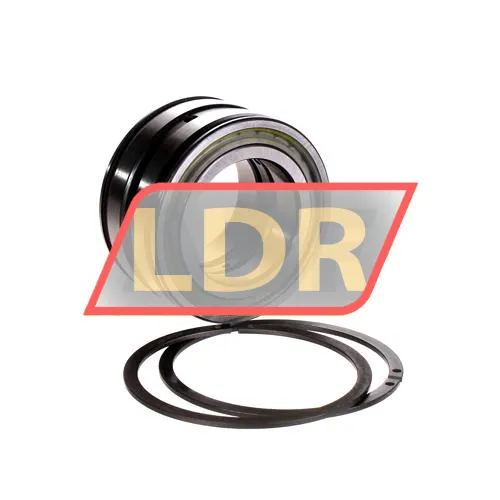 INA SL045009-PP-2NR-C3-GA22 ürün fotoğrafı 2