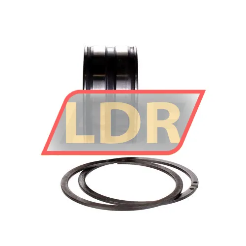 INA SL045009-PP-2NR-C3-GA22 ürün fotoğrafı 3