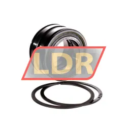 INA SL045009-PP-2NR-C3-GA22