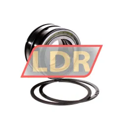 INA SL045009-PP-2NR-C3-GA22 rulman resim 2