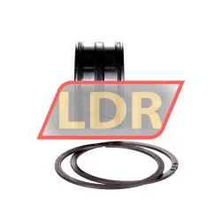 INA SL045009-PP-2NR-C3-GA22 rulman resim 3