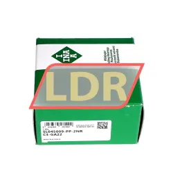 INA SL045009-PP-2NR-C3-GA22 rulman resim 4