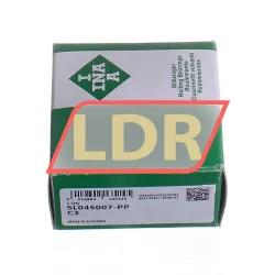 INA SL045007-PP-C3 rulman resim 3