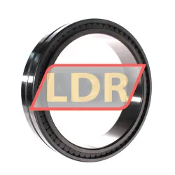 INA SL024838-A rulman resim 2