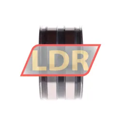 INA SL045008-PP rulman resim 3