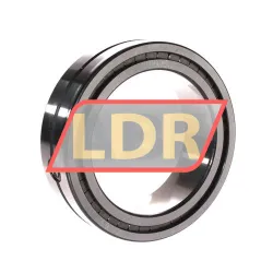 INA SL014920-A-C3 rulman resim 3