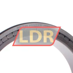 INA SL014848-A-C3 rulman resim 2