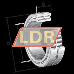 INA SL014848-A-C3 rulman resim 4
