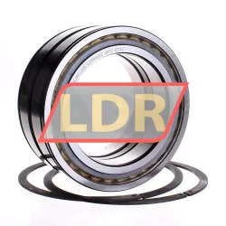 INA SL045024-D-PP-2NR