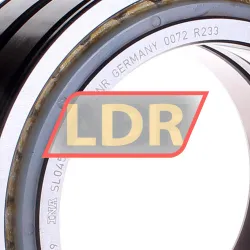 INA SL045024-D-PP-2NR rulman resim 2