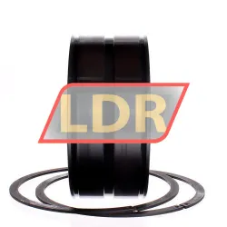 INA SL045024-D-PP-2NR rulman resim 3