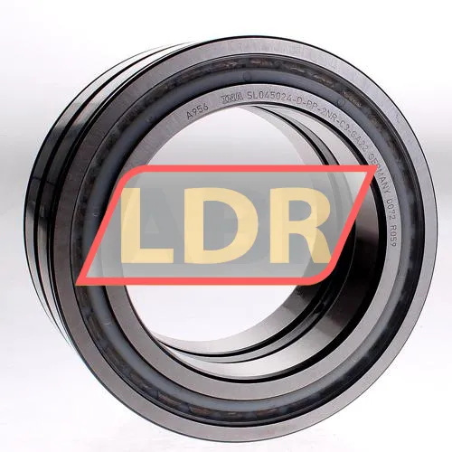 INA SL045024-D-PP-2NR-C3