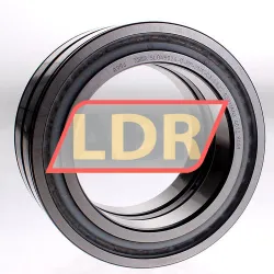 INA SL045024-D-PP-2NR-C3