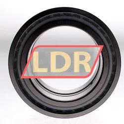 INA SL045024-D-PP-2NR-C3 rulman resim 2