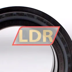 INA SL045024-D-PP-2NR-C3 rulman resim 3
