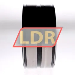 INA SL045024-D-PP-2NR-C3 rulman resim 4