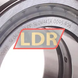 INA SL045011-PP rulman resim 2