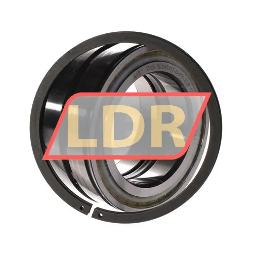 INA SL045017-D-PP-2NR