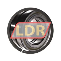 INA SL045017-D-PP-2NR