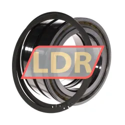 INA SL045017-D-PP-2NR rulman resim 3