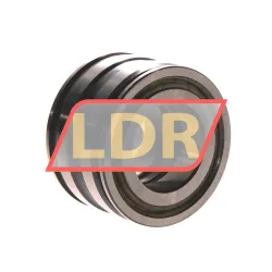 INA SL045006-PP-C3 rulman resim 2