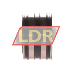 INA SL045006-PP-C3 rulman resim 3