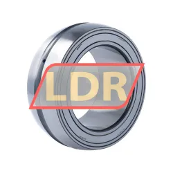 INA SL06018-E rulman resim 2