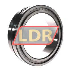 INA SL014934-A rulman resim 2