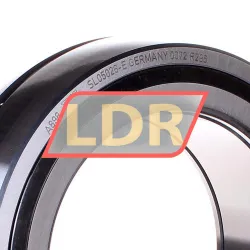 INA SL05026-E rulman resim 2