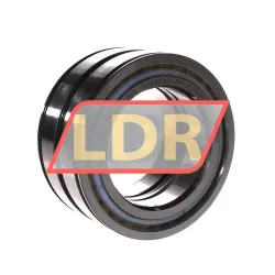 INA SL045016-D-PP-C5
