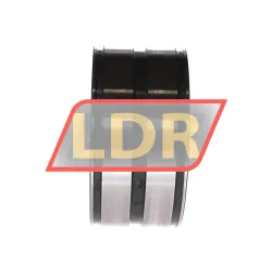 INA SL045016-D-PP-C5 rulman resim 2