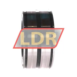 INA SL045019-D-PP-C3 rulman resim 2