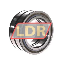 INA SL045019-D-PP-C3 rulman resim 3