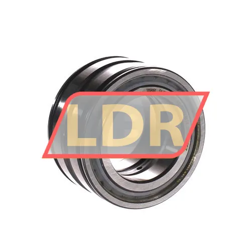 INA SL045009-PP