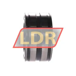 INA SL045009-PP rulman resim 2