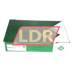 INA SL045009-PP rulman resim 4