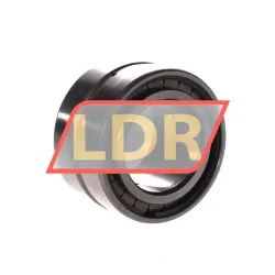 INA SL185008-A-C4 rulman resim 3