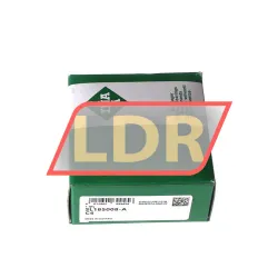 INA SL185008-A-C4 rulman resim 4