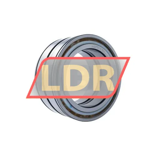 INA SL045032-D-PP-2NR-C3