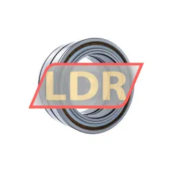 INA SL045032-D-PP-2NR-C3 rulman resim 2