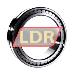 INA SL024930-A-C3 rulman resim 2