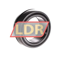 INA SL05020-E rulman resim 2