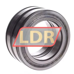 INA SL045013-PP-C2
