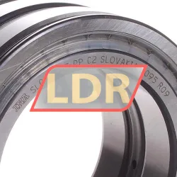 INA SL045013-PP-C2 rulman resim 2