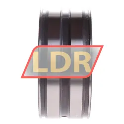 INA SL045013-PP-C2 rulman resim 3