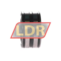 INA SL045010-C3 rulman resim 2