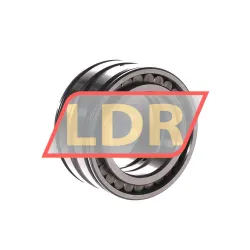INA SL045010-C3 rulman resim 3