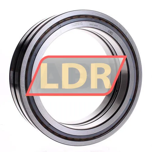 INA SL04200-D-PP
