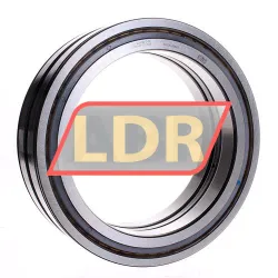 INA SL04200-D-PP